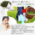 2023年限量特蒸頭茶茶包3.5g×20p新茶